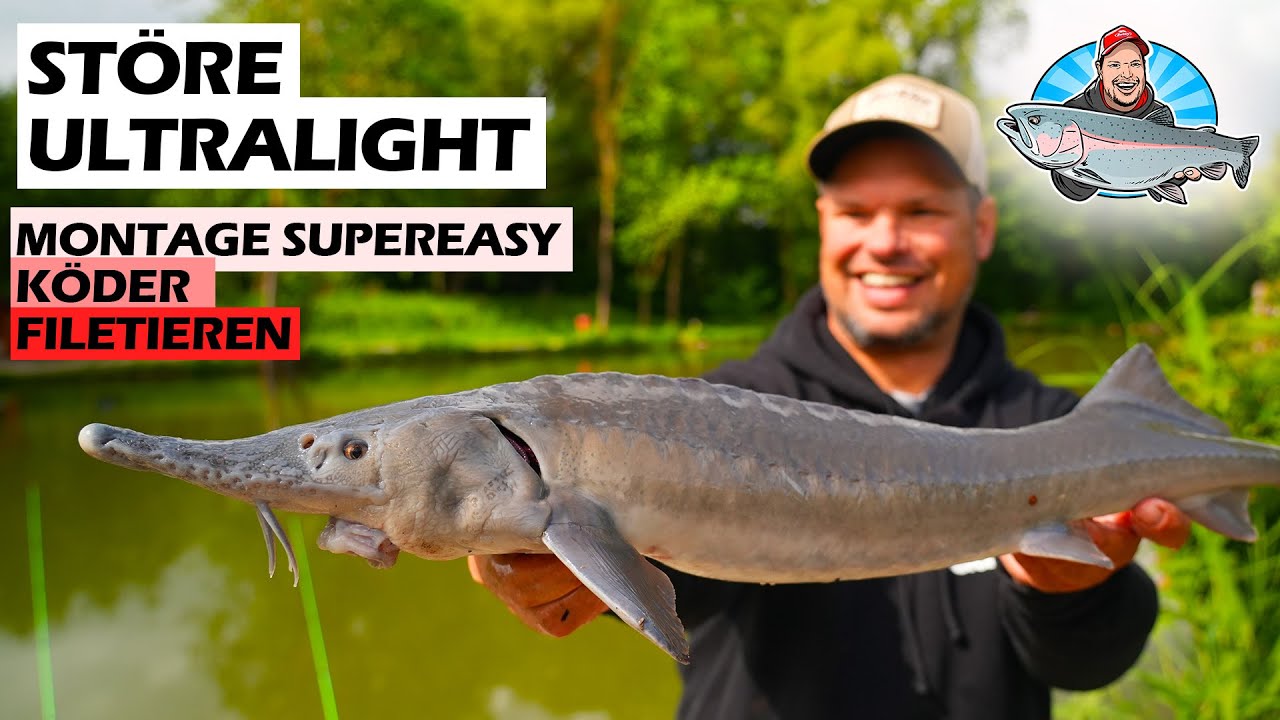 Stör angeln + richtig filetieren 🔪 | Tipps & Tricks vom Forellensee