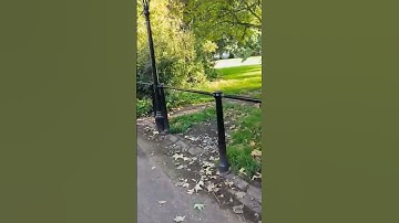 سورة الطارق بصوت القارئ إبراهيم الحق ..