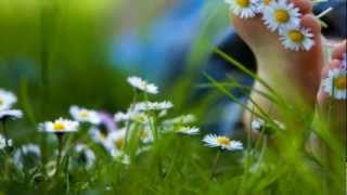 I Need To Be In Love  Frank Chacksfield Orchestra