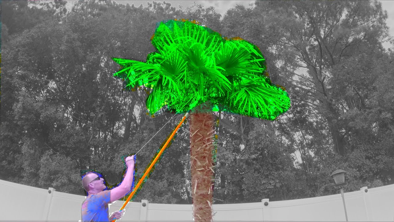 Pool Palm Tree Pole Saws 