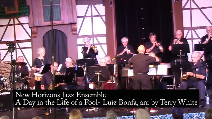 A Day in the Life of a Fool