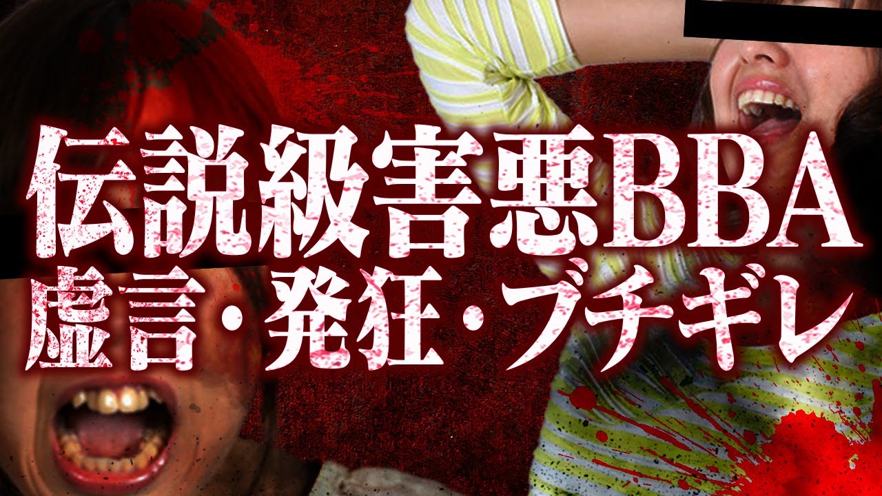 【ヤバいBBAまとめ】歴戦のコレコレが戦ったBBAの「虚言」「発狂」「奇行」の数々...その全てが詰まった神回ブチギレ名場面集...
