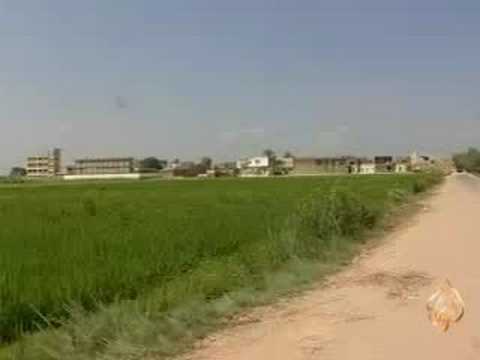 سبعة توائم بعد حمل دام سبعة أشهر