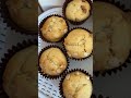 Cake Muffins Baking Chocolate Food Yummy Delicious Chocolatechip Cake Muffins Baking Chocolate Food Yummy Delicious Chocolatechip