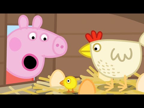 Peppa Pig 🐤Anneanne Domuz Tavuklar🌾Online komik çizgi filmler Derleme🌳Çocuklar için Çizgi Filmler