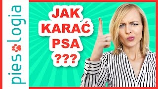 jak karać psa?