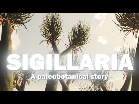 Paleobotanical story of a fossil plant : Sigillaria