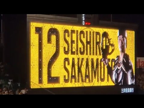 【ﾄﾗﾌｪｽ限定】20220617　坂本誠志郎 懐ﾒﾛ登場曲【｢やっぱ好きやねん｣／やしきたかじん】　6回ｳﾗ　阪神ﾀｲｶﾞｰｽ@阪神甲子園球場･ﾚﾌﾄ外野