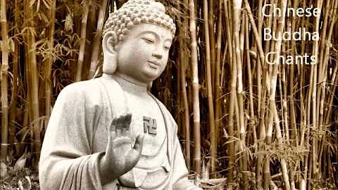 Che tipi di Buddha ci sono?