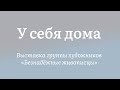 Безнадежные живописцы | У себя дома