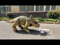 MCSRTR33-Realistic Triceratops Dinosaur Shell for Robot Dog​