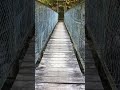 IMG 3267