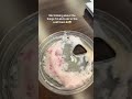 Can confirm the lid was violated #fyp #starbucks #coldfoam #cherryfoam #foryou