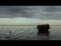 Duck hunt on the coast of Texas