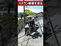 激痛 ベテラン塗装職人の宿命 #屋根塗装 #塗装 #激痛 #shorts