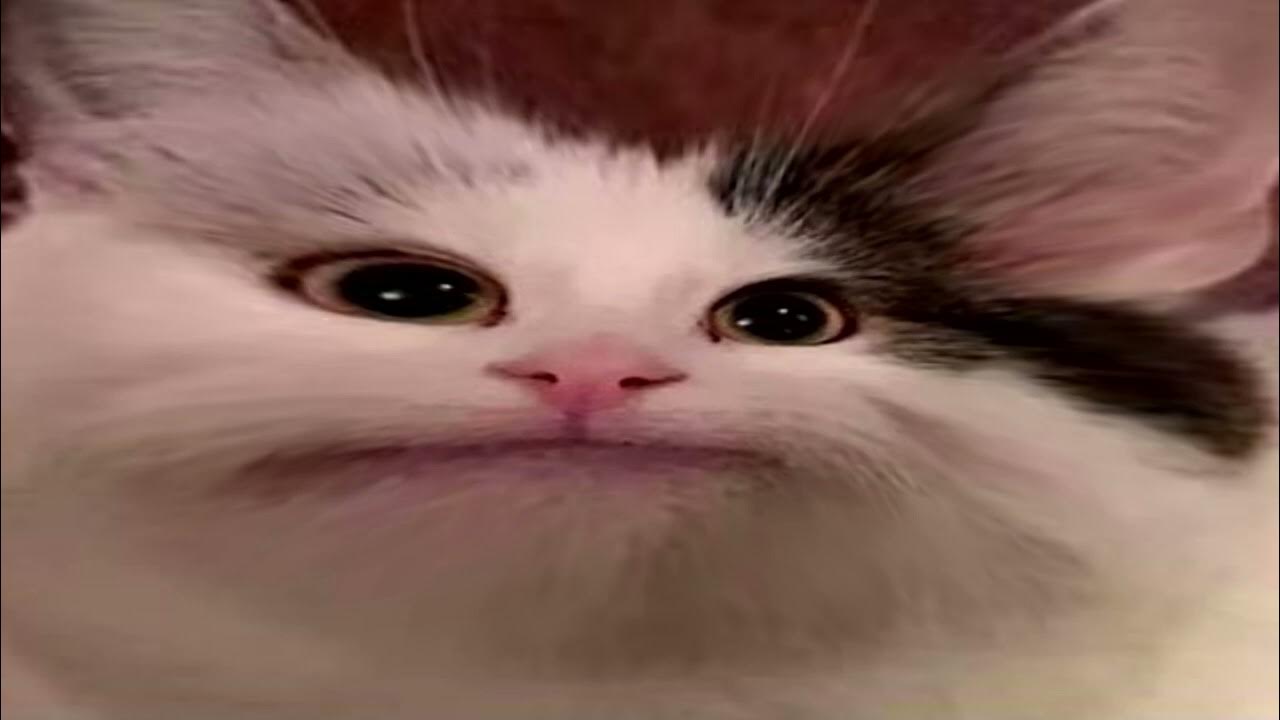 Crazy Frog Axel F (EARRAPE) YouTube