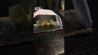 IMG 5059