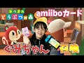 【あつ森の検証】出来たばかりの島にamiiboカードでグミちゃんを召喚するまでの日数