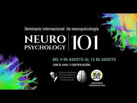 Neuropsychology 101: Neuroplasticidad  y Rehabilitación parte II