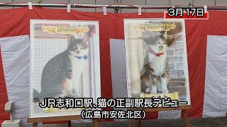 ＪＲ芸備線志和口駅、２代目ネコ駅長が就任（広島市安佐北区）