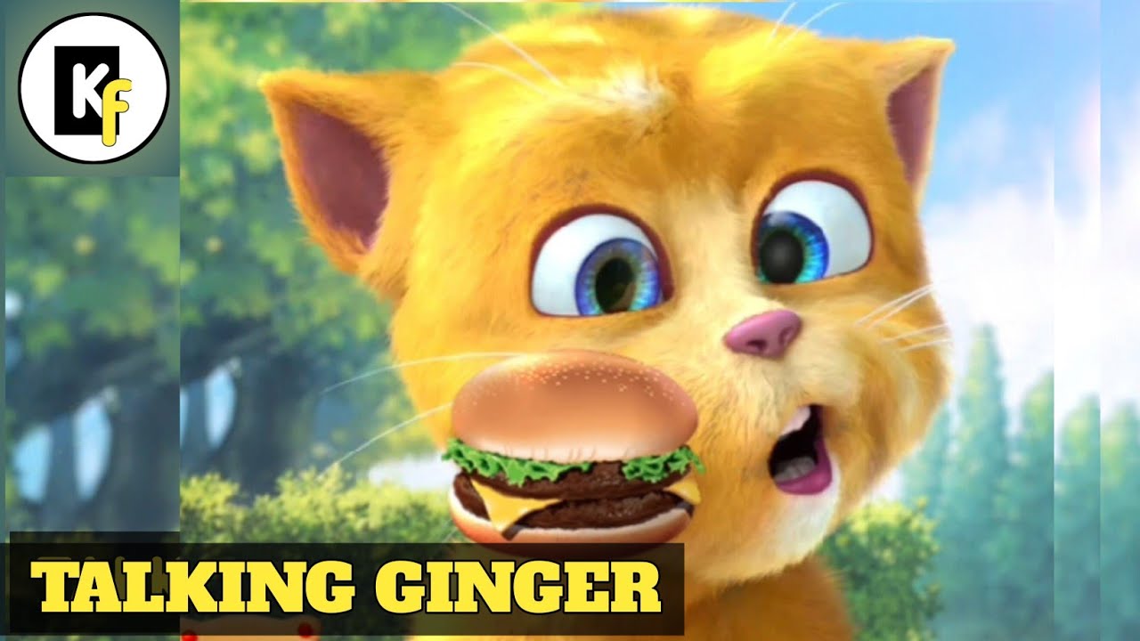 Ginger Stream Talking Ginger 2 live streaming - YouTube