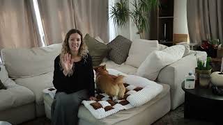 FUNNY FUZZY Pet Couch Covers for Sofa Large Dog Couch Cover Bed Cream Square Plaid Washable Pet Mat