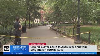 Man dies after being stabbed in the chest in Washington Square Park