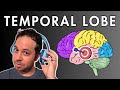 Understanding the Temporal Lobe