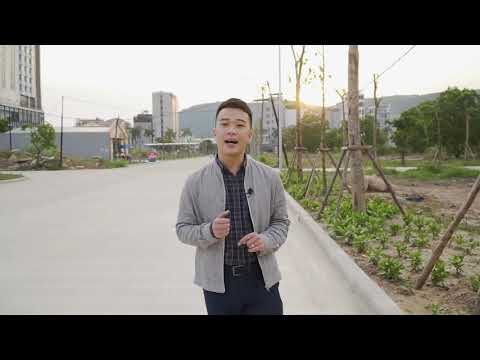 Đất Nền Đa