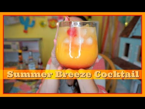 summer-breeze-cocktail-|-pinterest-drink-#149