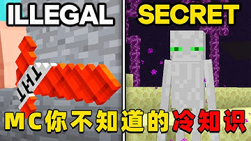 我的世界：那些基岩版和JAVA版的区别，你认为那个版本更好呢？