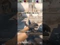 1vs4 это невозможно говорили они #cs2 #cs2fragmovie #skywhywalkercsgo #simple #monesy #zywoo #donk