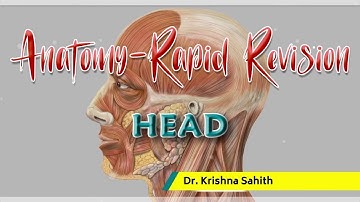 Anatomy of Head Rapid Revision - Dr Krishna Sahith