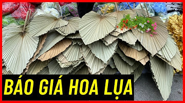 Báo giá hoa lụa trang trí đám cưới | hoa cổng cưới | hoa vải