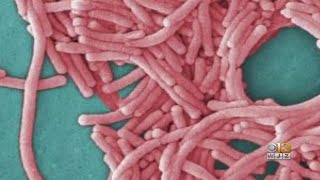 Thumbnail Baltimore Harbor Tunnel Toll Automated As Health Officials Test For Legionellosis After 2 Employees