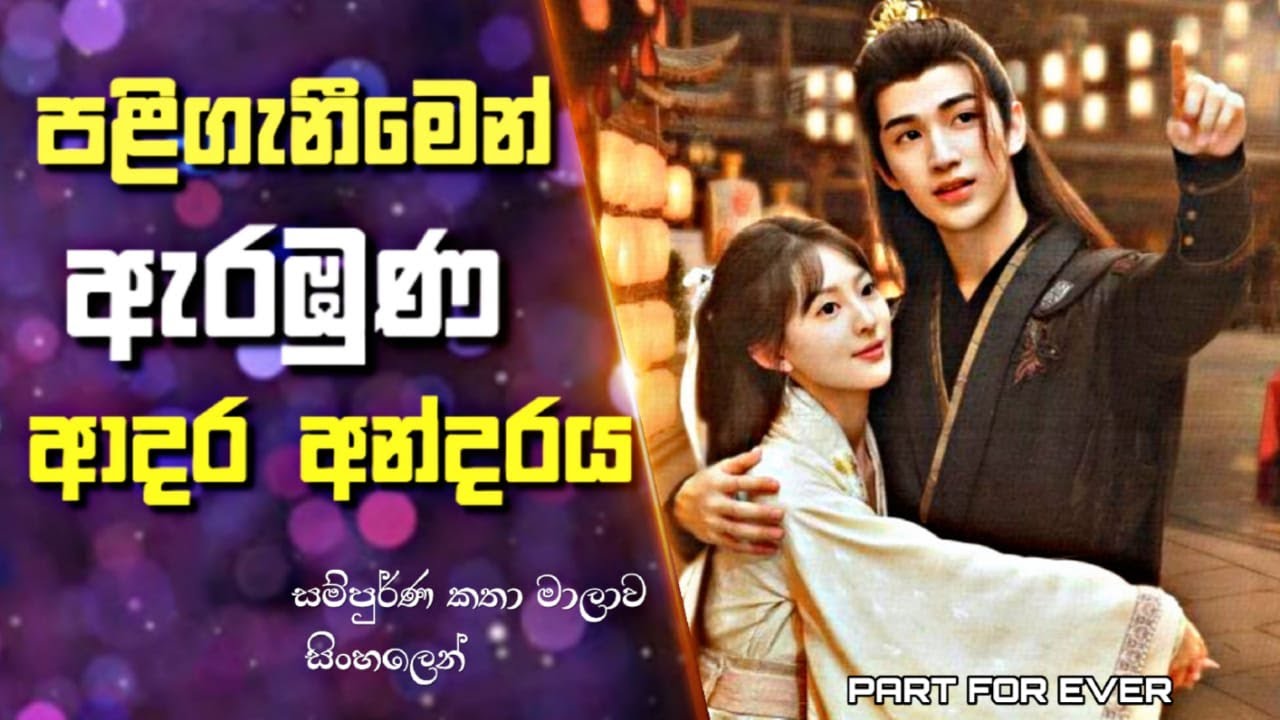 පළිගැනීමෙන් ඇරඹුණ ආදර අන්දරය | Chinese drama Sinhala Review