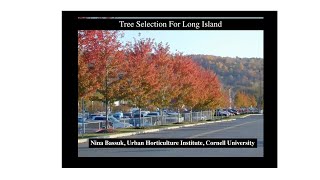 Celebrity LI Urban Tree Selection Workshop Profile