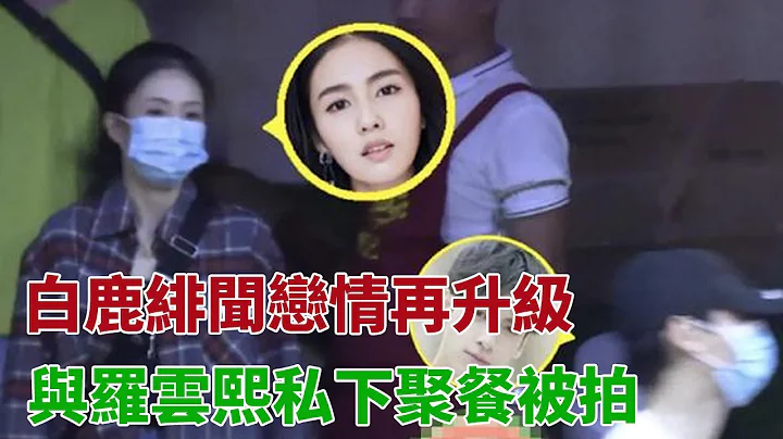 白鹿绯闻恋情再升级，与罗云熙私下聚餐被拍，工作人员打掩护 - 天天要闻