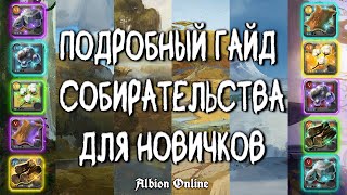 БЫСТРАЯ ПРОКАЧКА СОБИРАТЕЛЬСТВА | ALBION ONLINE | ГАЙД ДЛЯ НОВИЧКА | АЛЬБИОН ОНЛАЙН | СОБИРАШКА