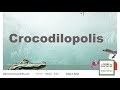 Patrick cartoux  pisode 4  crocodilopolis