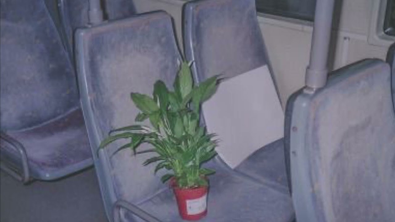 heartbeat city // the cars // slowed