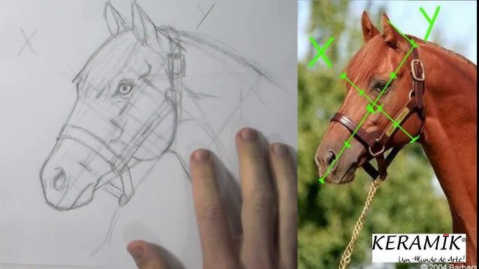 desenhando #cavalos🐴 #cavalocrioulo #cavalosdotiktok #desenho #artis