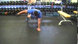 3 Point DB Reverse Fly