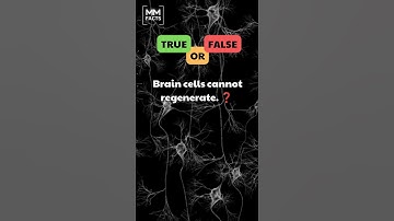 Is it possible to regenerate brain cells or do they just die? 🧠🤔#regenerative #braincells
