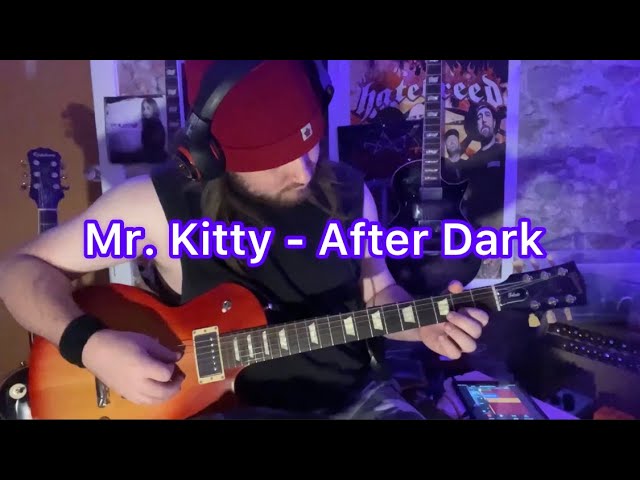 Mr.Kitty - After Dark ( @dontwakemeupme & @27MOTS guitar cover
