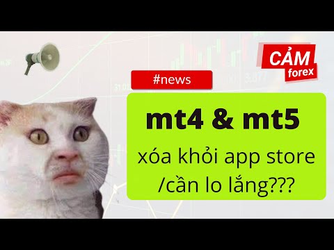 MT4 và MT5 bị xóa khỏi app store   Ae không cần lo lắng