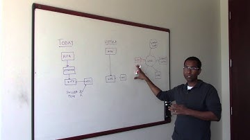 Zero Touch Branch - Demo (SDN WAN Tutorials)