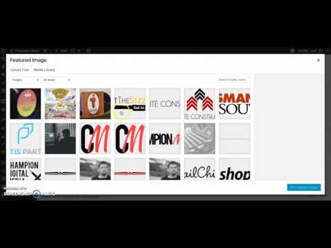 WordPress Basics - How To Add A New Post