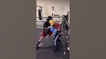 Beautiful counter left hook 🔥 #shorts