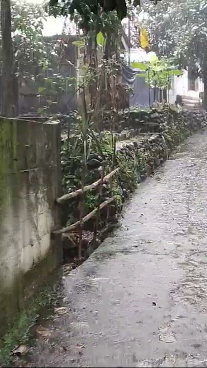 HUJAN YANG LEBAT BIKIN ADEM SUASANA #rain #walkingrain #nature #rainsounds
